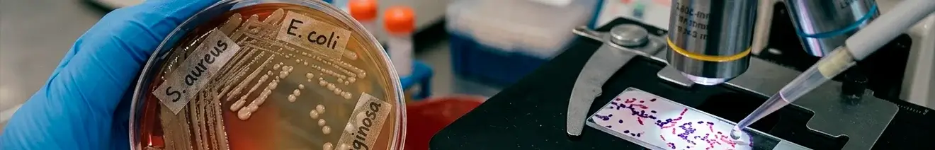 Diplomado en Microbiología Clínica